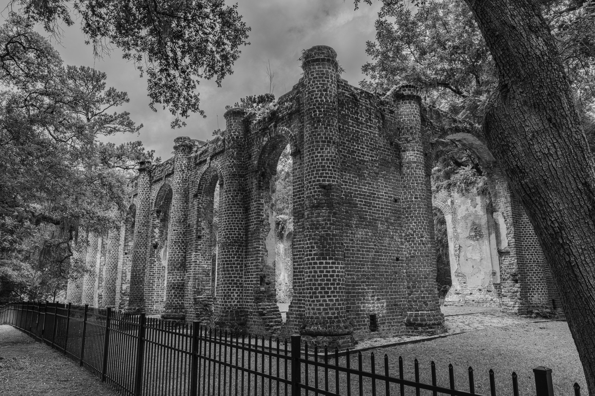 Fine art print: Old Sheldon Church Ruins