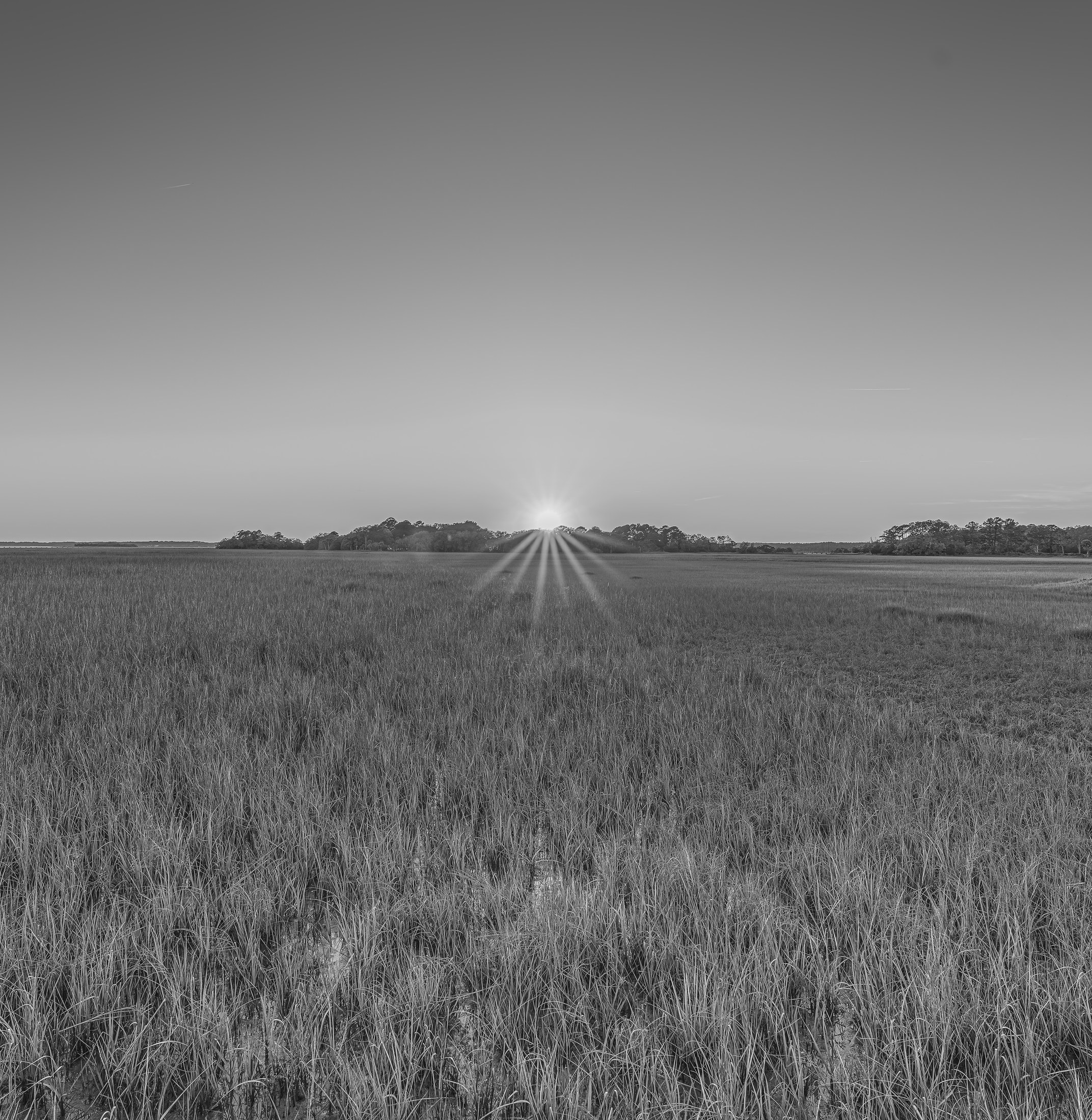 The Lowcountry marsh at last light